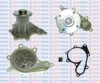 AQUAPLUS 85-8375 Water Pump